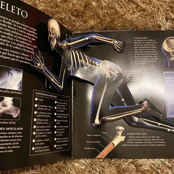 El Cuerpo Humano: Guía Interactiva Del Funcionamiento Del Cuerpo Albumes Deluxe - Picture 3 of 5